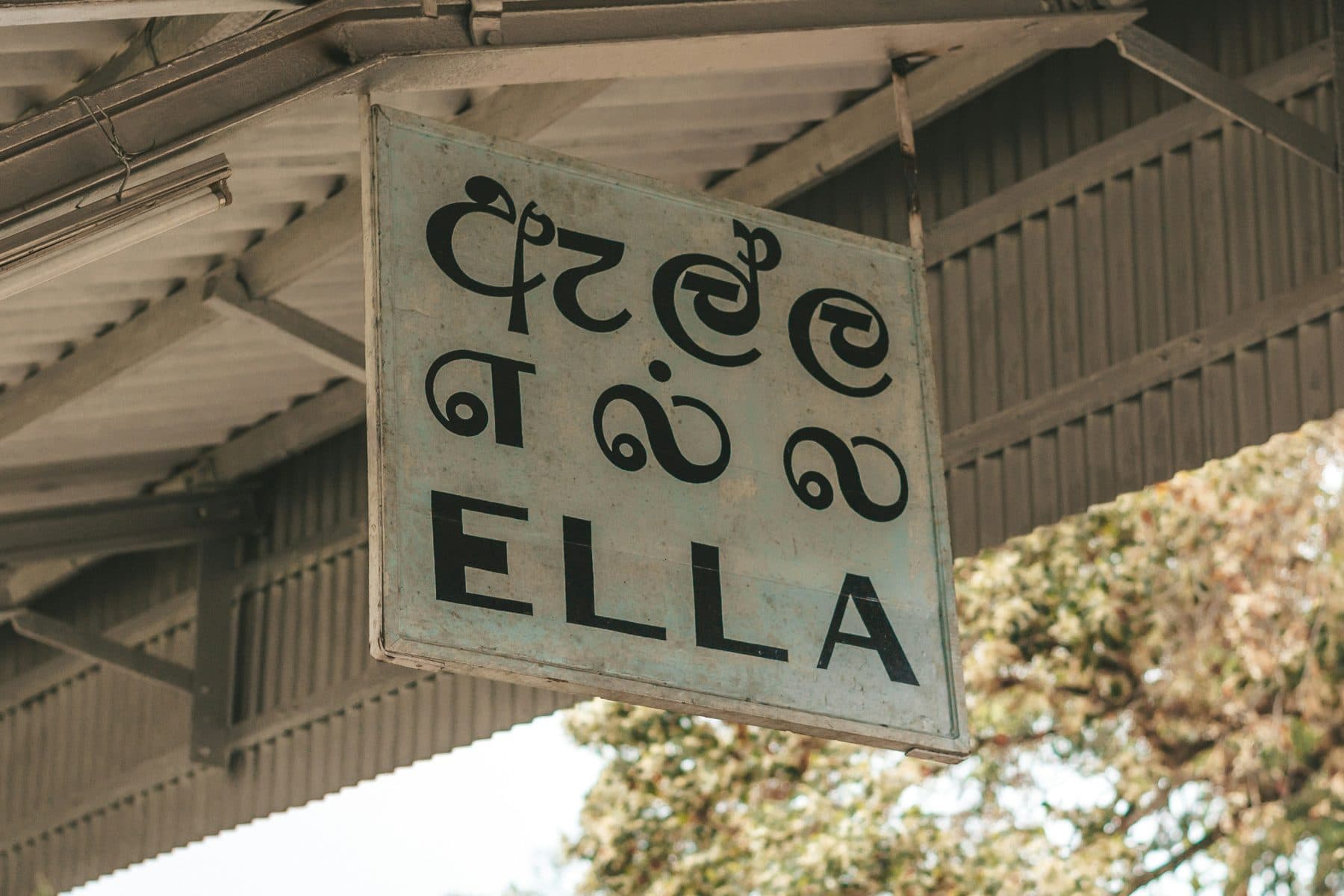 Ella photo 2