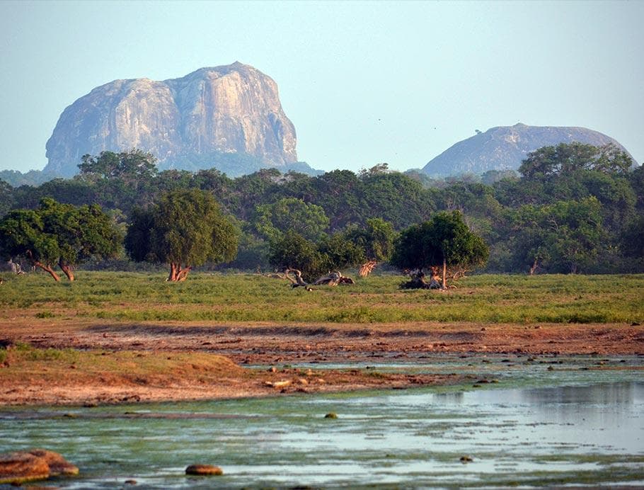 Yala National Park photo 1