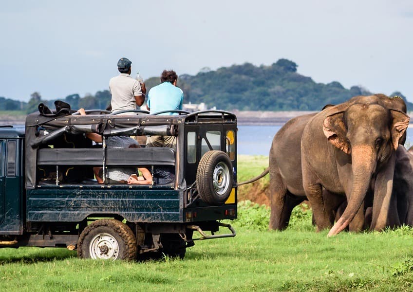 Yala National Park photo 2